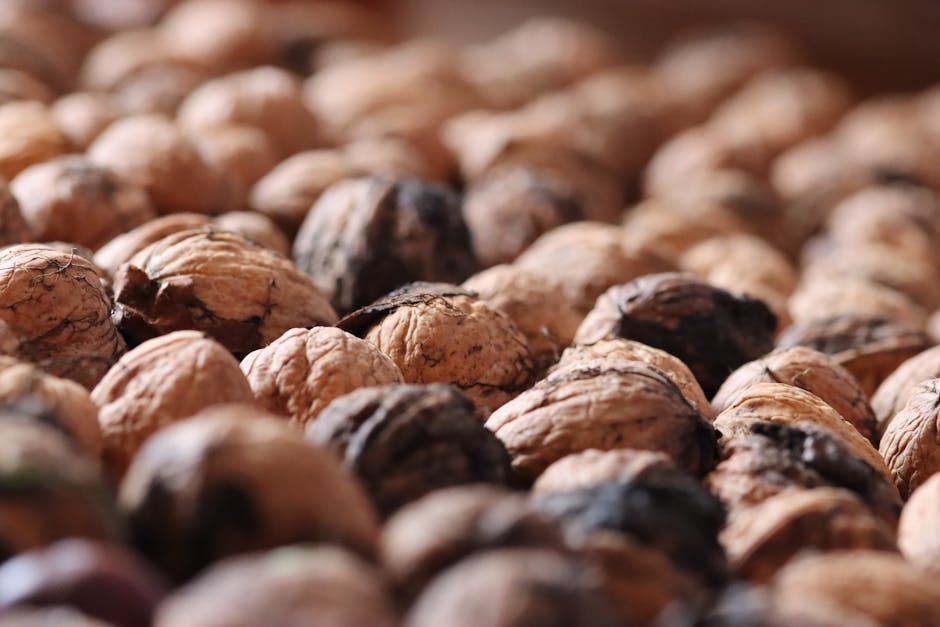 高蛋白飲品的全面教學指南