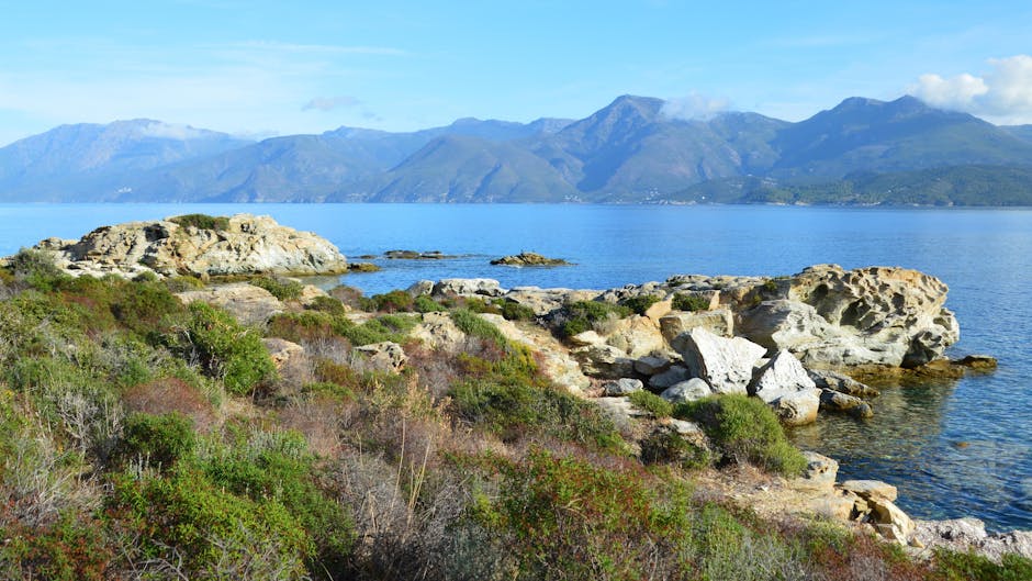 水機香港：務實解讀與選購指南