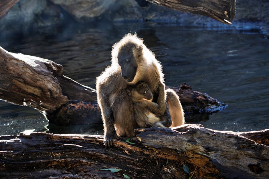 香港裝修公司：打造理想家居的專業之選