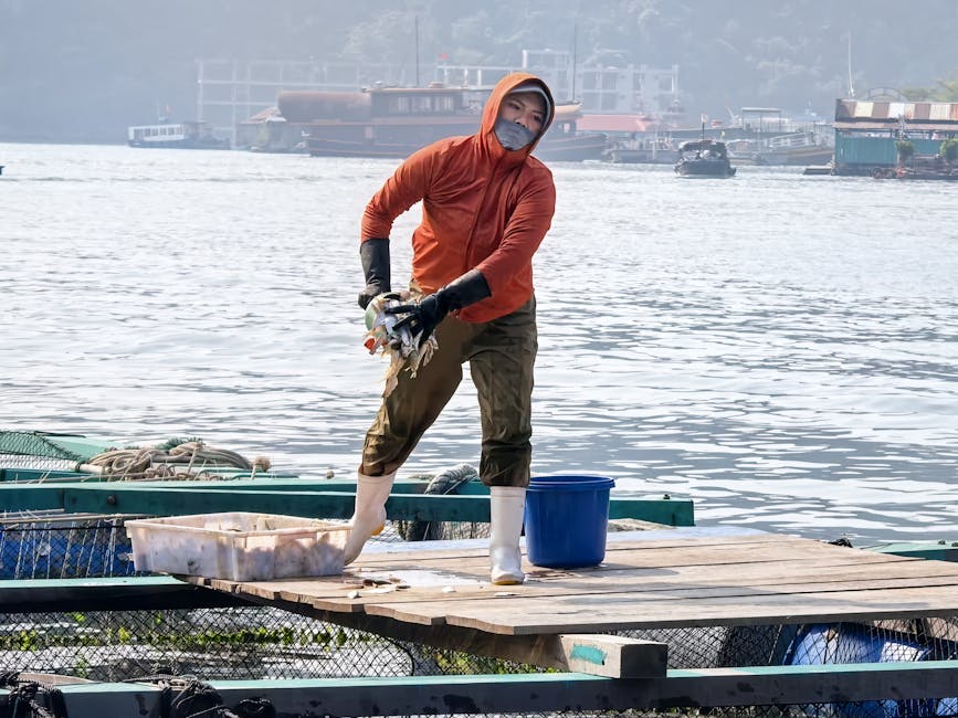 過大禮海味的文化哲學探究