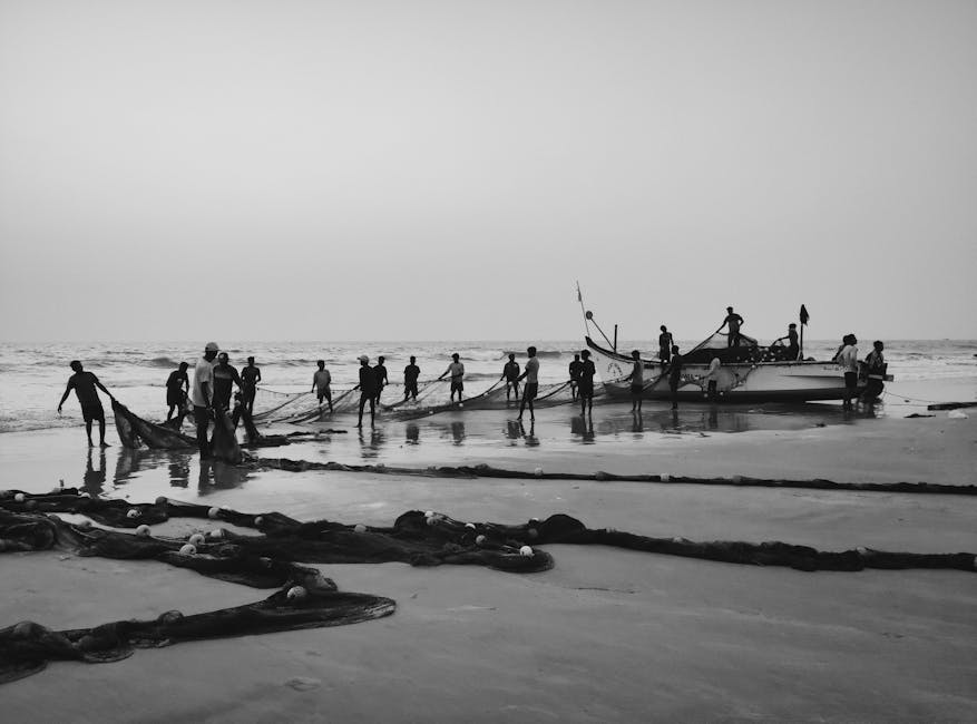 捲式蚊網的選擇與使用心得分享